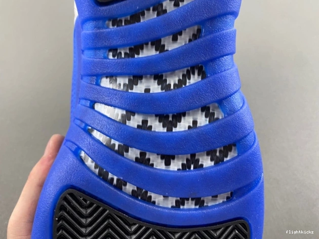 Air Jordan 12 Blueberry CT8013-140 1202